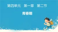 生物七年级下册（2024）青春期授课ppt课件