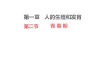 生物七年级下册（2024）青春期教课内容ppt课件