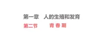 生物七年级下册(2024)青春期教课内容ppt课件