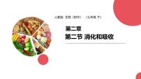 初中人教版（2024）消化和吸收教课课件ppt