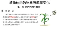 人教版（2024）七年级下册（2024）水的利用与散失课前预习课件ppt