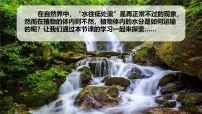 初中生物人教版（2024）七年级下册（2024）水的利用与散失教学演示ppt课件
