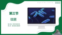 初中生物鲁科版 (五四制)2024六年级下册（2024）细菌授课ppt课件