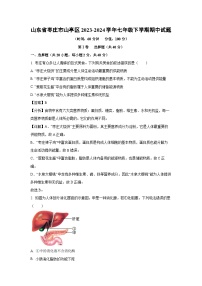 山东省枣庄市山亭区2023-2024学年七年级下学期期中生物试卷（解析版）
