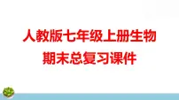 人教版七年级上册生物期末总复习课件