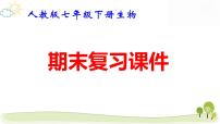 人教版七年级下册生物期末复习课件