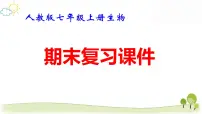 人教版七年级上册生物期末复习课件