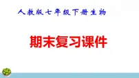 人教版七年级下册生物期末复习课件含期末综合测试