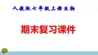 人教版七年级上册生物期末复习课件含期末综合测试