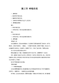 人教版（2024）七年级下册（2024）呼吸作用教学设计