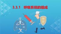冀少版（2024）七年级下册（2024）呼吸系统的组成课文配套ppt课件