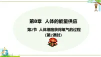 初中生物北师大版（2024）七年级下册（2024）人体细胞获得氧气的过程备课课件ppt
