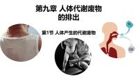 初中生物北师大版（2024）七年级下册（2024）人体产生的代谢废物课文配套课件ppt