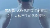 初中北师大版（2024）人体产生的代谢废物教学ppt课件