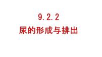 初中生物北师大版（2024）七年级下册（2024）尿的形成与排出图文课件ppt