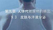 北师大版（2024）七年级下册（2024）皮肤与汗液分泌集体备课课件ppt