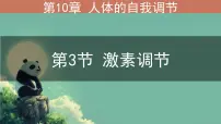 初中北师大版（2024）激素调节教课ppt课件