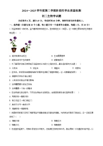 2025年山东省淄博市高新区中考一模生物试题