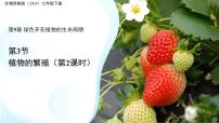 生物苏教版（2024）植物的繁殖多媒体教学ppt课件