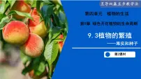 初中苏教版（2024）植物的繁殖备课ppt课件
