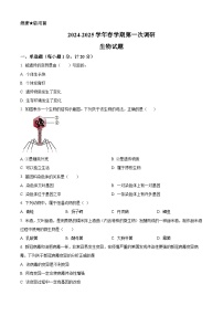 2025年江苏省连云港市高新技术产业开发区八年级中考一模生物试题（原卷版+解析版）