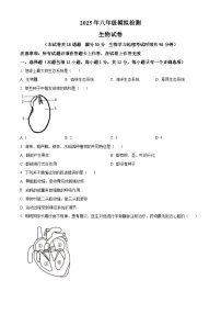 2025年辽宁省沈阳市沈河区中考模拟预测生物试题（原卷版+解析版）