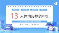 专题13 人体内废物的排出（课件）-2025年中考生物一轮复习