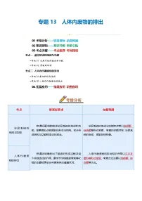 专题13 人体内废物的排出（讲义）-2025年中考生物一轮复习