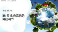 初中生物苏教版（2024）七年级下册（2024）生态系统的自我调节课文ppt课件