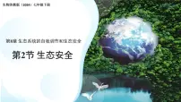 苏教版（2024）七年级下册（2024）生态安全教案配套ppt课件