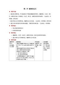 苏教版（2024）七年级下册（2024）植物的生长教案