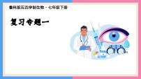 专题复习一 人体生命活动的调节（复习课件）2025学年七年级生物下学期期中考点大串讲（鲁科版五四学制）