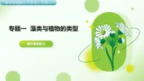 鲁科版 (五四制)2024六年级下册（2024）藻类背景图ppt课件