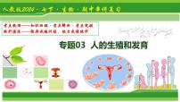 专题03 植物体内的物质与能量变化 2025学年七年级生物下学期期中考点大串讲（人教版2024）课件