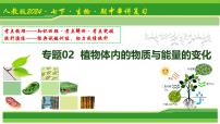 专题02 植物体内的物质与能量变化 2025学年七年级生物下学期期中考点大串讲（人教版2024）课件