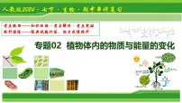 专题02 植物体内的物质与能量变化 2025学年七年级生物下学期期中考点大串讲（人教版2024）课件