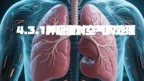 初中生物人教版（2024）七年级下册（2024）呼吸道对空气的处理多媒体教学ppt课件