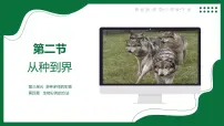 鲁科版 (五四制)2024六年级下册（2024）从种到界说课课件ppt