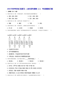 2025年中考生物三轮复习：人体生理与健康（二） 考点刷题练习题（含答案解析）