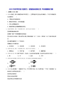 2025年中考生物三轮复习：动物的运动和行为 考点刷题练习题（含答案解析）