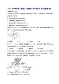 2025年中考生物三轮复习：植物的三大生理作用 考点刷题练习题（含答案解析）