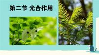 生物七年级下册（2024）光合作用备课课件ppt