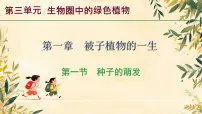 初中生物人教版（2024）七年级下册（2024）种子的萌发教课内容ppt课件