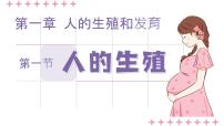 生物七年级下册(2024)人的生殖课文配套课件ppt