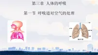 人教版（2024）七年级下册（2024）呼吸道对空气的处理评课ppt课件