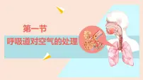 人教版（2024）七年级下册（2024）呼吸道对空气的处理说课ppt课件