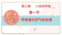 初中生物人教版（2024）七年级下册（2024）呼吸道对空气的处理教课课件ppt