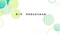 人教版（2024）七年级下册（2024）呼吸道对空气的处理示范课ppt课件