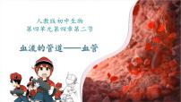 初中血流的管道—血管教学演示ppt课件