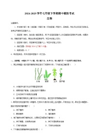 2024-2025学年七年级生物下学期期中模拟试卷（苏科版+含答案解析）